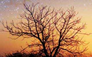 Alaska Permanent Fund: What it is and how it functions