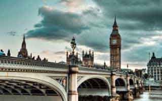 Pizza: What the Data Reveals About Its Dominance